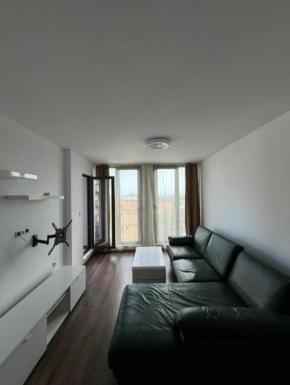 Apartment Steya